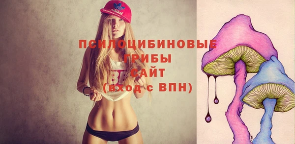 гидропоника Беломорск
